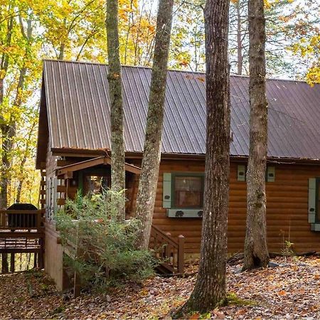 Villa Mountain Time Cabin, Hot tub, Fire Pit, Fireplace à Blue Ridge Extérieur photo