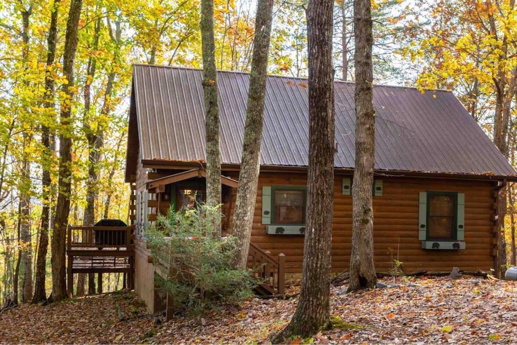 Villa Mountain Time Cabin, Hot tub, Fire Pit, Fireplace à Blue Ridge Extérieur photo