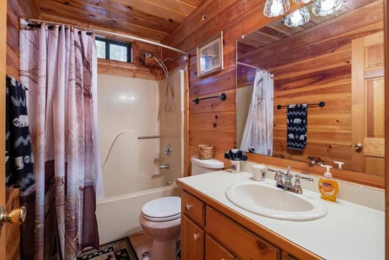 Villa Mountain Time Cabin, Hot tub, Fire Pit, Fireplace à Blue Ridge Extérieur photo