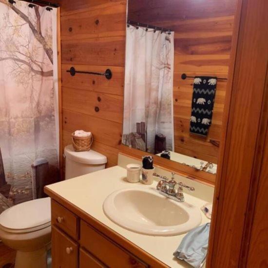 Villa Mountain Time Cabin, Hot tub, Fire Pit, Fireplace à Blue Ridge Extérieur photo